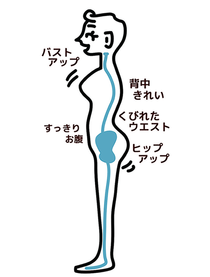 正常な脊椎の状態